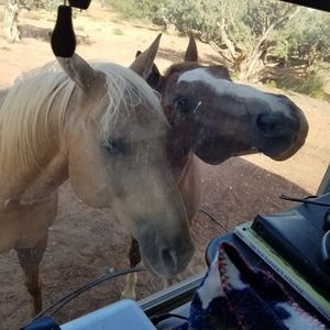 Meet your Posher, Sue